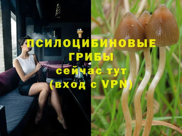 кристаллы Заводоуковск