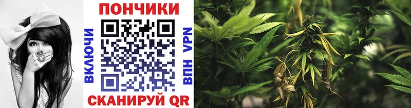 наркошоп  Моздок  МАРИХУАНА White Widow 